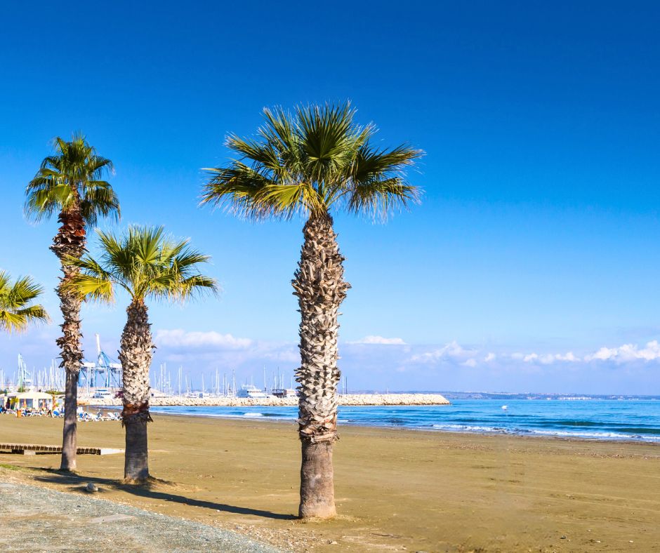 Can you swim during a short layover in Larnaca